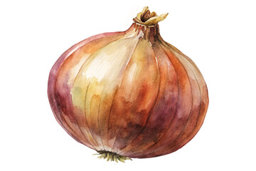 Watercolor onion illustration, realistic food art, vibrant colors, kitchen decor, culinary design, organic produce.