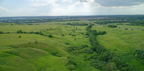Large field of grass with a few trees in the background