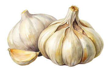 Obraz premium Fresh garlic bulbs, watercolor illustration, natural food art, culinary ingredient, organic produce, healthy cooking.