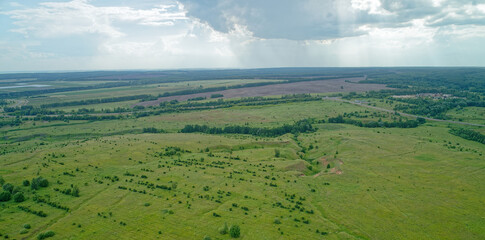 Large, open field with a few trees scattered throughout