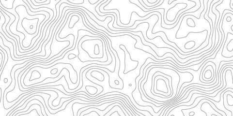 white topographic lines background contour lines wallpaper