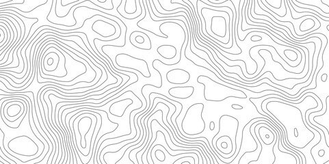 white topographic lines background contour lines wallpaper