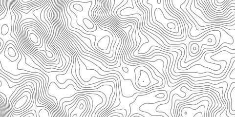 white topographic lines background contour lines wallpaper