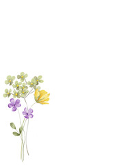 Greeting card template with watercolor flowers, floral frame, illustration hand painted. Isolated on white background.