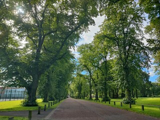 path in the park