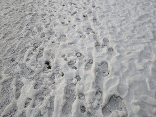 Footprints in compacted snow