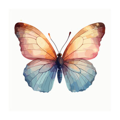 Butterfly illustration isolated on white background