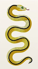 Fototapeta premium Golden Dragon or Golden Snake illustration design, minimalist, graphic design, clear scales, writhing body, white background, gold foil paper brush marks