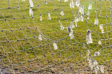 Torn soccer net reveals signs of wear at local sports field during afternoon sunlight