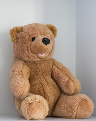 Obraz premium Soft teddy bear sitting on a shelf in a bright room with minimal decor
