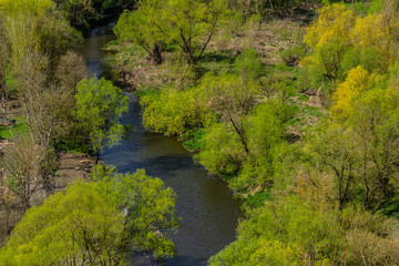 Lush green landscape with a winding river under clear blue sky in spring