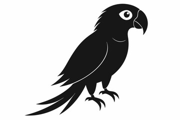 parrot  silhouette vector illustration