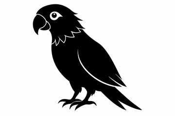 parrot  silhouette vector illustration