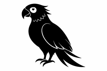 parrot  silhouette vector illustration