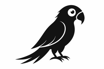 parrot  silhouette vector illustration