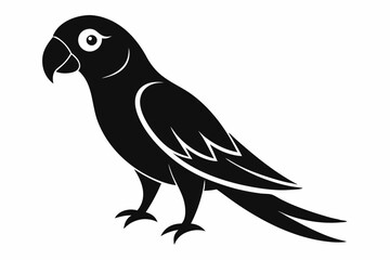 parrot  silhouette vector illustration