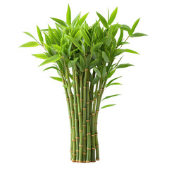 Obraz premium Lush Green Bamboo Plant: A Symbol of Serenity and Growth