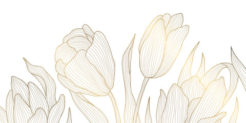 Vector line gold on white tulips art, luxury graphic botanical illustration, plant floral background