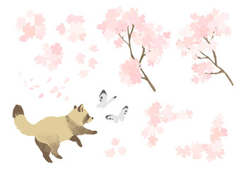 桜とタヌキの手描きイラストセット