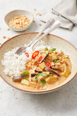 Panang Curry with Rice