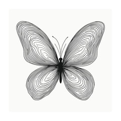 Butterfly illustration isolated on white background