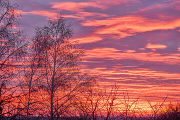 Obraz premium landscape with red sky at sunset