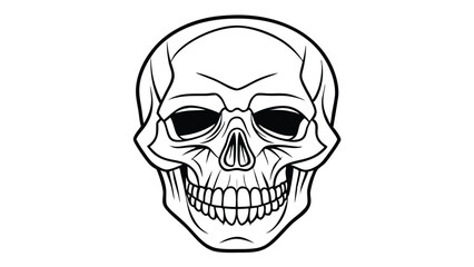 Fototapeta premium Minimalist Skull Line Art