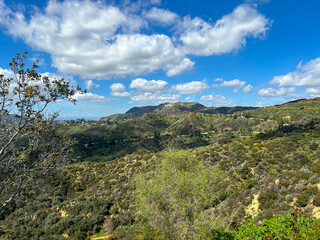 Hollywood Hills, Los Angeles California