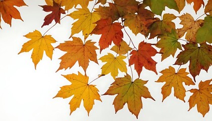 Green and yellow leaves set on a white backdrop for use in background or interior design ideal for a copy space image,4521