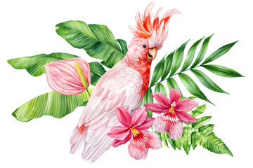Exotic watercolor parrot with green leaves and orchid flower, tropical bird illustration isolated design element decor © Hanna