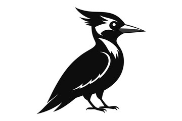 woodpecker  silhouette vector illustration