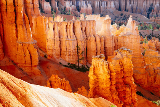 Hoodoos at sunrise, Bryce Canyon National Park, Utah, United States