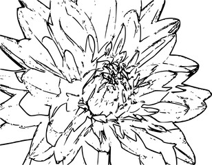 flower for astetik