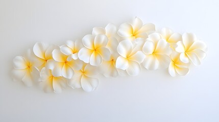 Obraz premium Charming Cluster of Plumeria Flowers in White and Yellow Hues