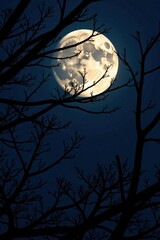 Full moon illuminating the dark branches of a tree, darkness, branches, shadows