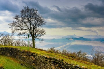 Obraz premium Solitary tree stands on a grassy hill with a stone wall, overlooking a misty valley and mountains