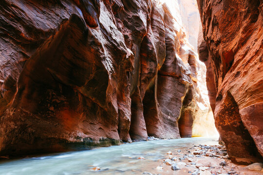 Canyon and Virgin river, the Narrows, Zion National Park, United States