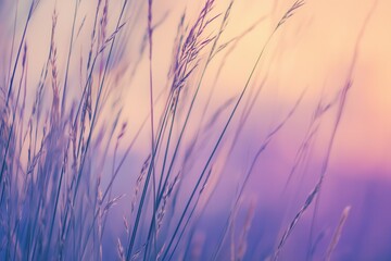 A gradient from lavender to periwinkle with a fine grain overlay, creating a soft and soothing visual.