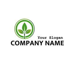 Fototapeta premium eco friendly logo leaf icon vector design