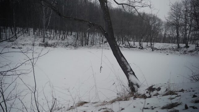 winter landscape. bungee jumping hanging from a tree over a small frozen pond