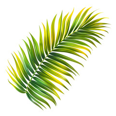 Fototapeta premium Summer Palm Tree Clipart Vector Illustration
