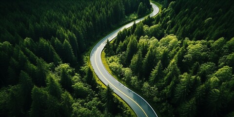 Sustainability, Green and Environment Concept: An aerial view of a winding road meandering through a lush forest, flanked by vibrant trees and greenery on both sides, curving path