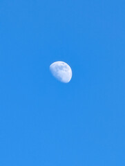 昼間の月