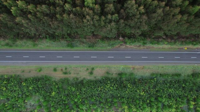 Top-down aerial view of a straight road cutting through dense, lush forests near Whakamaru, New Zealand, showcasing the harmonious blend of infrastructure and natural landscapes.