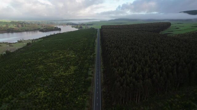 Aerial road cutting through dense forests near the Whakamaru river in Waikato, New Zealand