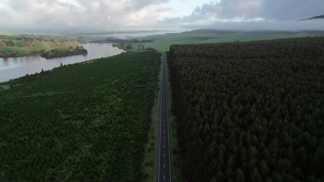 Aerial view of a road slicing through dense forests alongside a serene lake in Whakamaru, New Zealand, blending human presence with the untouched beauty of nature.