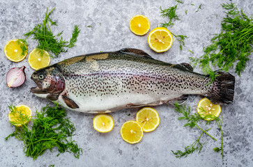 Fresh rainbow trout with lemon, dill, salt and spices on grey table background, top view