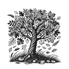 Obraz premium Fall Tree tree with roots