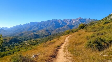 Fototapeta premium A scenic hiking trail winding through golden grass, flanked by mountains under a clear blue sky.