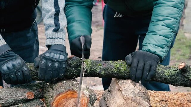 A man and a teenager are actively preparing firewood for the winter season. The scene showcases teamwork
